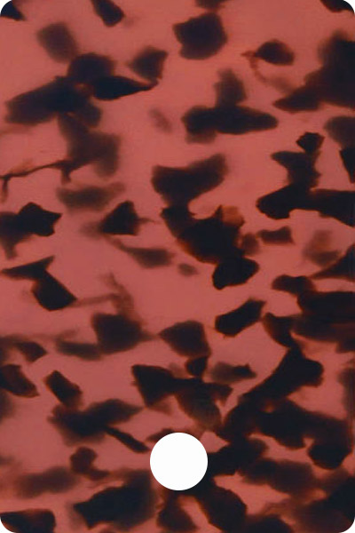 YL2CA203